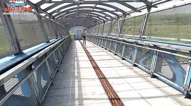 Public Roadside Romp: Risky Public Sex on Pedestrian Bridge