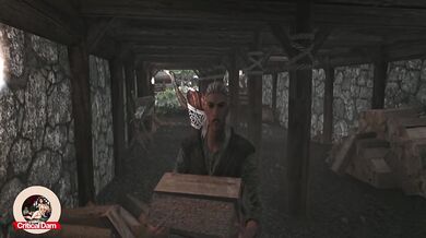 Skyrim Lydia takes Camilla Valerius while werewolf Sven Faendal watch