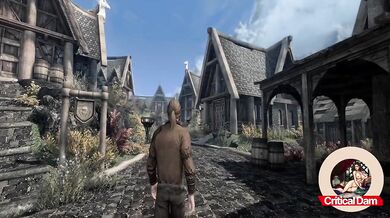 Skyrim Lydia fucked hairy wench raw in Whiterun mod