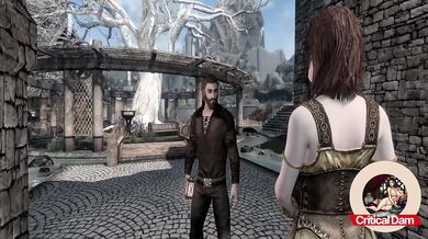 Skyrim Lydia fucked hairy wench raw in Whiterun mod