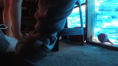 Amateur schoolgirl lifts her skirt for stepdaddy before class big ass gets fingered