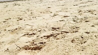 Exhibitionist couple on public beach gets juicy raw compilation