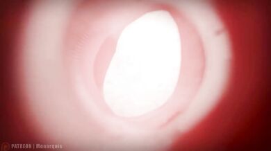 Furry yiff animation with raw internal ejaculation handjob
