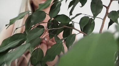 Horny blonde ruins her orange tree solo and gets gushing wet