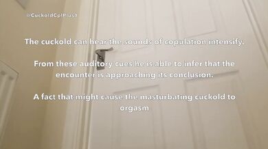 Wife bred while husband listens cuckold creampie documentary