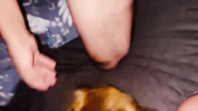 Amateur cock soaked in thick cum load after tight blowjob