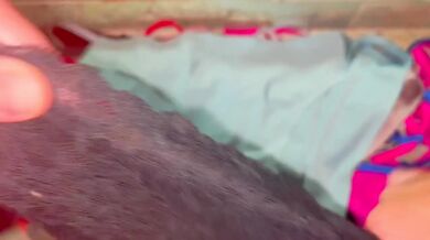 Panty organization ruined messy loads everywhere
