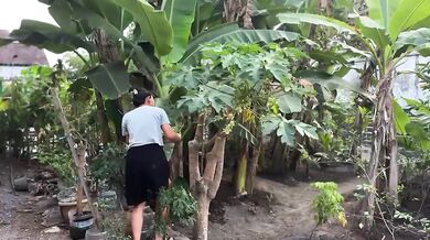 Pick papaya leaves in the garden hot sex hd solo female cum