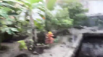 Pick papaya leaves in the garden hot sex hd solo female cum