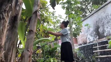 Pick papaya leaves in the garden hot sex hd solo female cum
