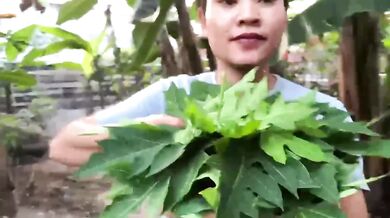 Pick papaya leaves in the garden hot sex hd solo female cum