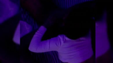 Amateur ebony latina gets fucked raw by huge BBC