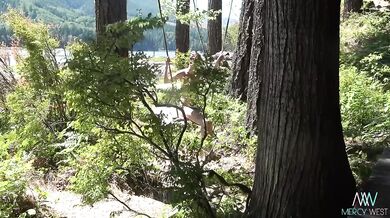 Mercy west stripped bare in nature exhibitionist nudes on the lake