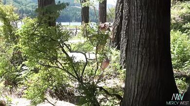 Mercy west stripped bare in nature exhibitionist nudes on the lake