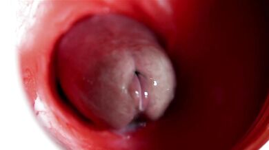 A big beautiful cock flows abundantly inside a wet slippery hole and smacks!