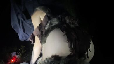 WindyGO Wendigo Monster Girl POV Ride Fart Vore Femdom Outdoors