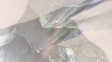 Milf Real Couple Outdoor Blowjob by the River