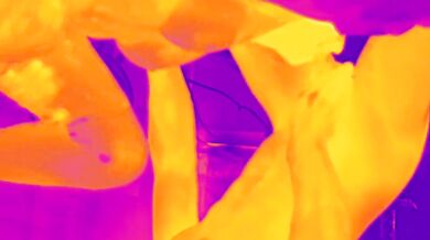 Thermal Camera Threesome Rough Mom Gets Banged by Best Friends Big Cock