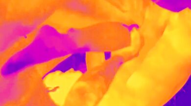 Thermal Camera Threesome Rough Mom Gets Banged by Best Friends Big Cock