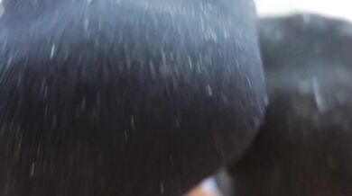 Stinky gym socks crushed under cum soaked feet worship the stench slave