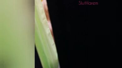 Step sis strokes shower steam then blasts cum right on her ass