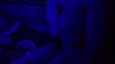 Midnight sex raw deep fucking load jets hidden camera