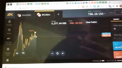 Bitcoin destroyed my position after I lost a bet to a friend reality check
