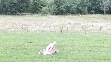 Wife spread wide in public missionary mess