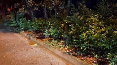 My girlfriend sucks me off in a car parked on the highway raw cum shot deepthroat