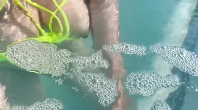 Sexy Italian Milf Artemisia flashes her juicy big tits in public pool water