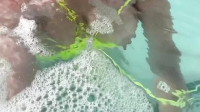 Sexy Italian Milf Artemisia flashes her juicy big tits in public pool water