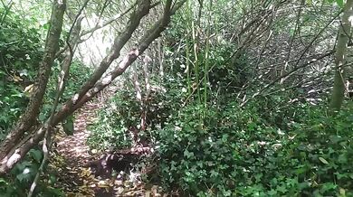 Naughty milf fingers herself in the forest till her pussy drips dirty talk