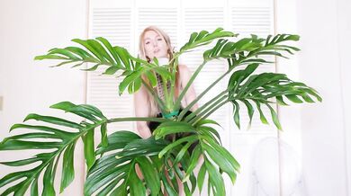 July Plants raw NSFW HD