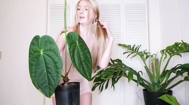 July Plants raw NSFW HD