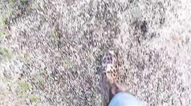 Long walk in gumboots