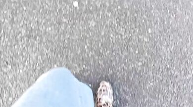 Long walk in gumboots