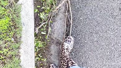 Long walk in gumboots