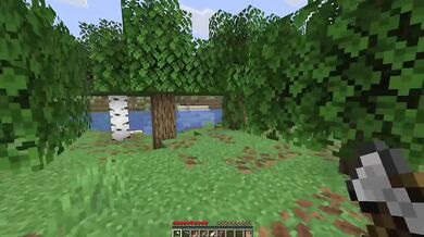 Minecraft relaxed cumshots SFW