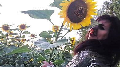 Caught Red Handed Stepfather Sneaks Rough Creampie Blowjob in Sunflower Field