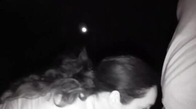 Cogiendo en el monte hasta una mamada violenta MILF amateur