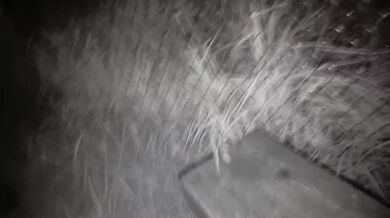 Cogiendo en el monte hasta una mamada violenta MILF amateur