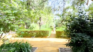Seville park slut deepthroated blown flooded with cum and piss shower in broad daylight