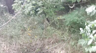 Brunette gets pussy eating and cum in mouth deep in the woods dirty talk