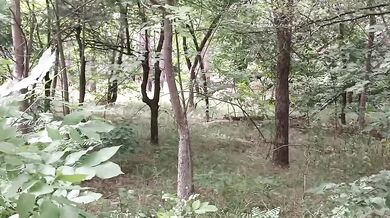 Brunette gets pussy eating and cum in mouth deep in the woods dirty talk