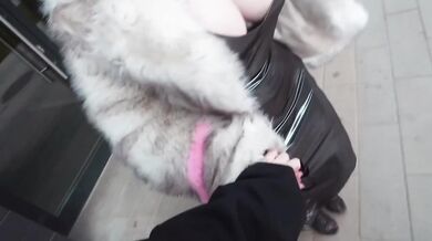 Big dick shreds blonde in public hardcore POV action