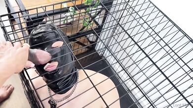 Caged cuck gets throat destroyed by BBC monster cock turns gay for mommy