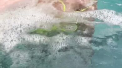 Sunday afternoon poolside with Artemisia Love big tits in micro bikini fetish