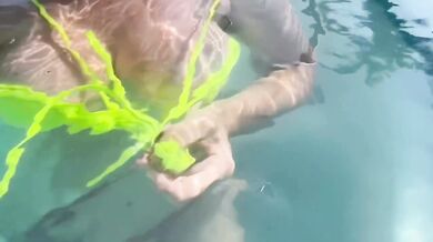 Artemisia flashes her soaked tits smoking underwater big tits italian smoke fetish