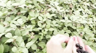 Wild blackberries made me cum on her outdoor footjob big dick HD