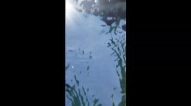 Petite brunette italian slut ditalino squirting on the beach